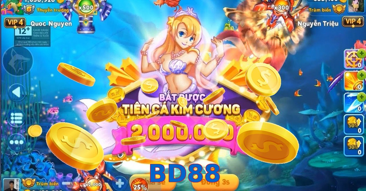 BD88